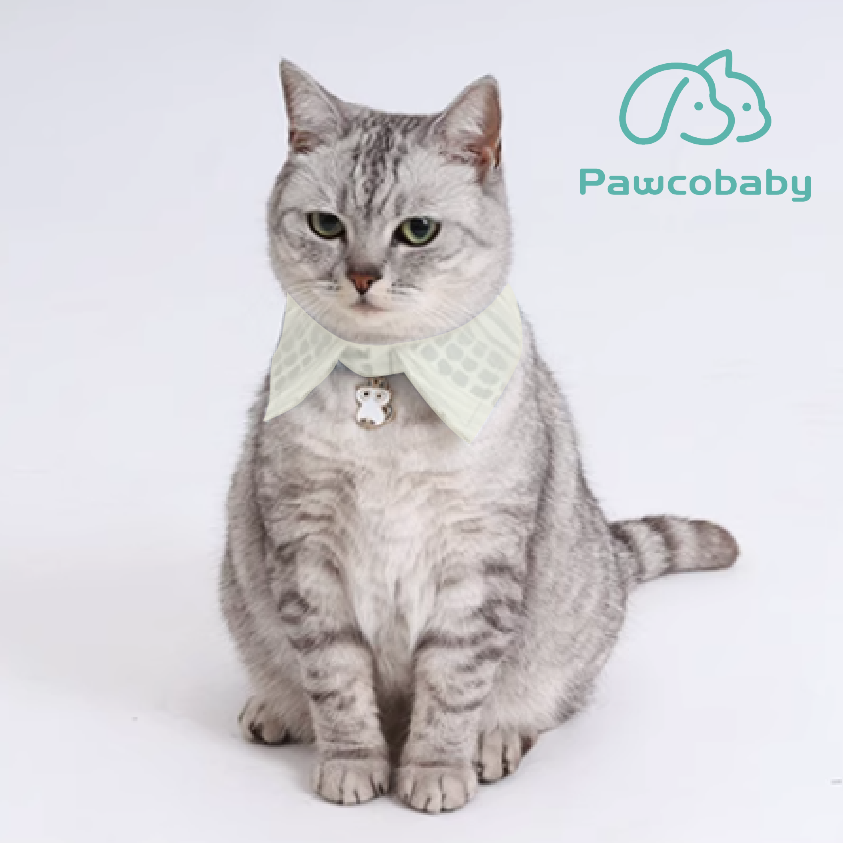 PAWCOBABY-Light green pet owners wear fresh and soft pajamas