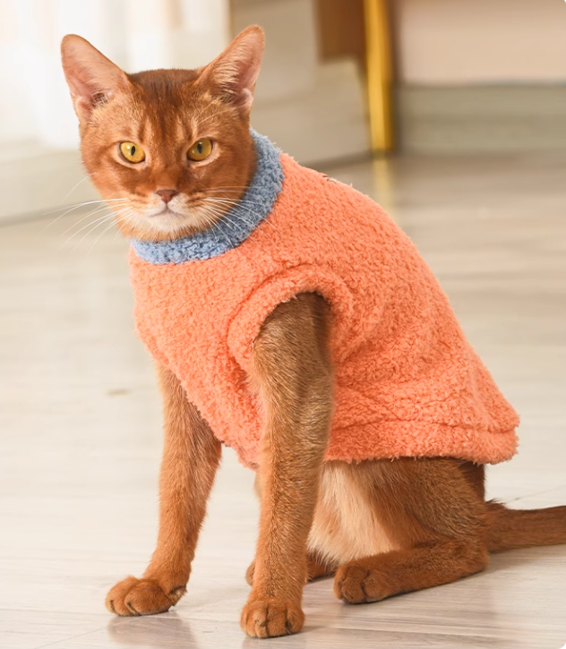 PAWCOBABY-cat clothes, orange，double-sided plush, soft and warm autumn and winter pet pajamas