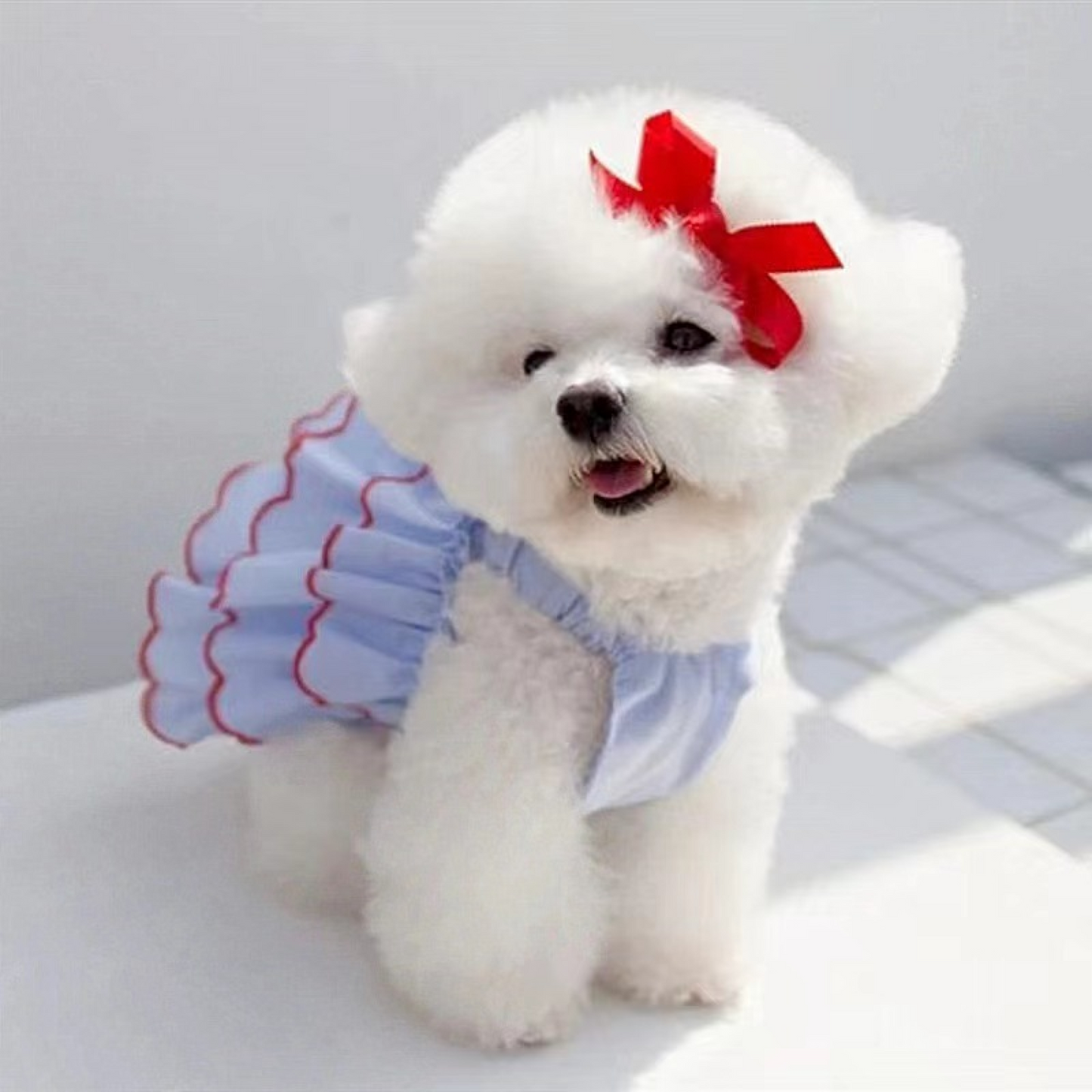 Pawcobaby Pet Princess Dress