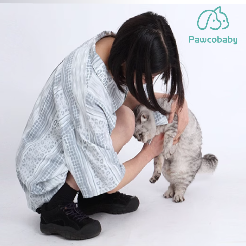 "PAWCOBABY Light Grey-Blue Matching Pet and Owner Pajamas – Simple and Elegant Solid Color Sleepwear Set for Dogs and Owners, Comfortable and Durable"